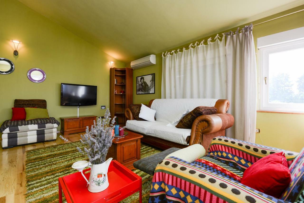 Apartment Paradise Zadar Zewnętrze zdjęcie